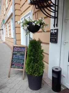 Портфолио